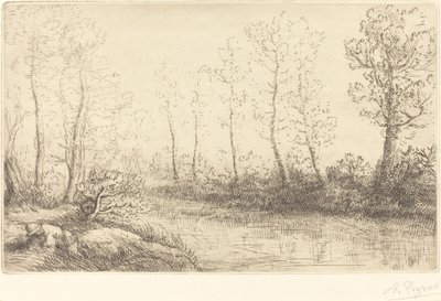 Abedules: Orilla del agua vista a la luz de la mañana de Alphonse Legros