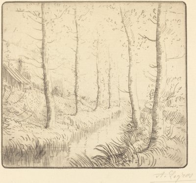 Árboles de abedul junto al agua (Les bouleaux: Bord de l