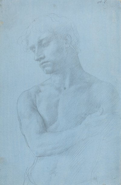 Busto de hombre desnudo de Alphonse Legros