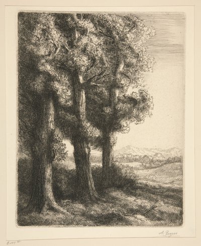 Un rincón de un bosque de Alphonse Legros