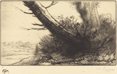 Esquina de un camino de Alphonse Legros