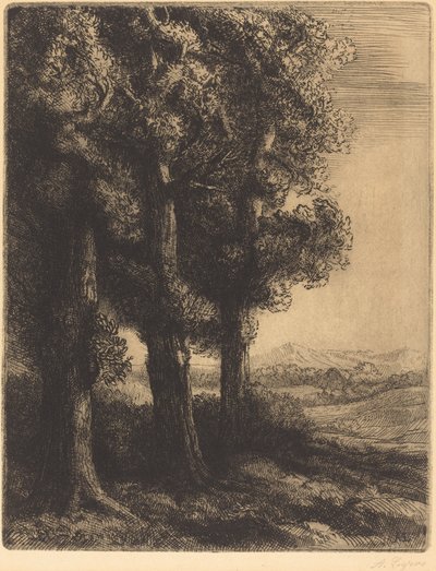 Esquina de un bosque de Alphonse Legros