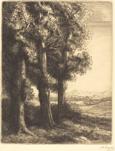 Rincón de un bosque Coin d