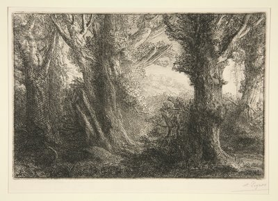Dans la foret de Conteville (En el bosque de Conteville) de Alphonse Legros