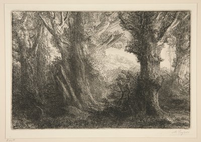 Dans la foret de Conteville (En el bosque de Conteville0 de Alphonse Legros