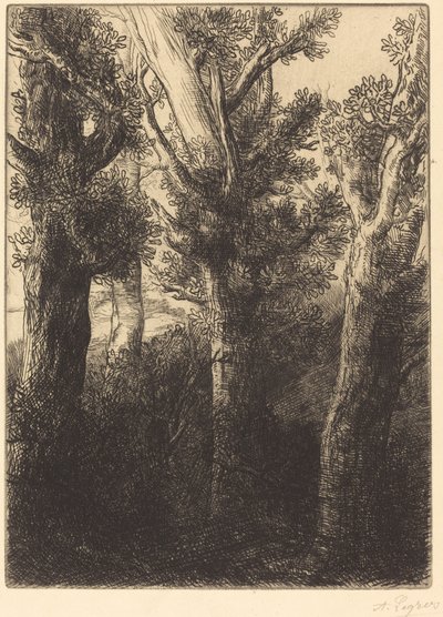 Bosque alemán, Downley de Alphonse Legros