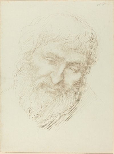 Cabeza de un hombre de Alphonse Legros