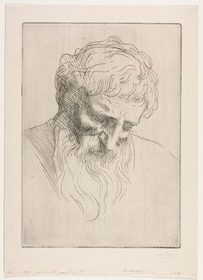 Cabeza de un hombre de Alphonse Legros