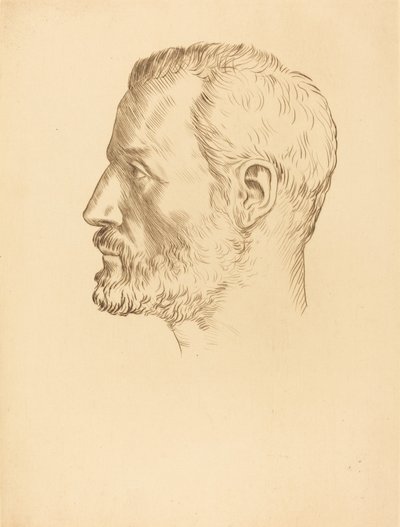 Cabeza de un Hombre Tête d