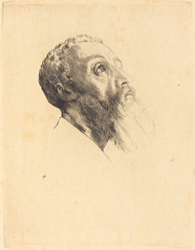 Cabeza de un Modelo (Tete de modele) de Alphonse Legros