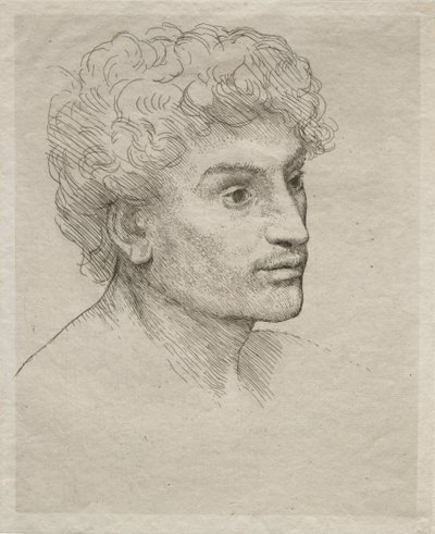 Cabeza de un joven de Alphonse Legros