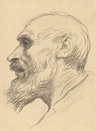 Cabeza de un anciano de Alphonse Legros