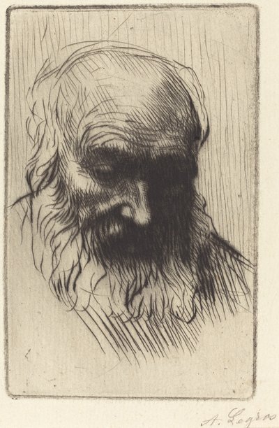 Cabeza de un anciano de Alphonse Legros