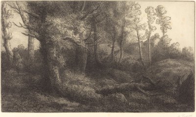 En el Bosque de Alphonse Legros