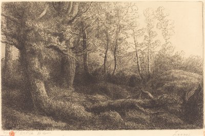 En el bosque Lisiere de foret de Alphonse Legros