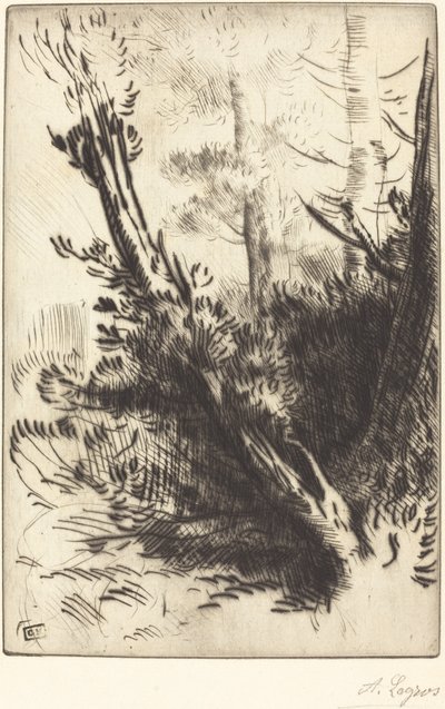 En el bosque de Alphonse Legros