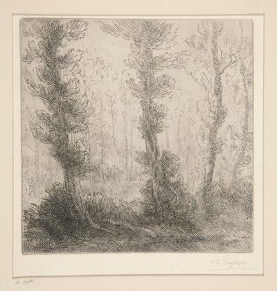 el pequeño lago de Alphonse Legros