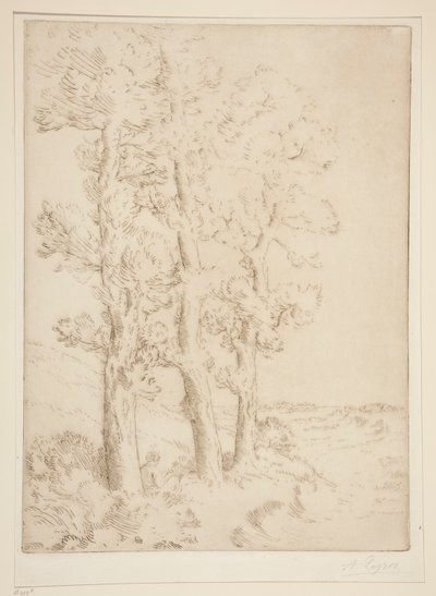 Mujer leyendo: Lección bajo los árboles de Alphonse Legros