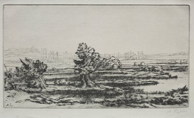 Paisaje de Alphonse Legros