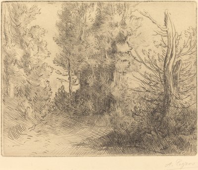 Paisaje: Cerca de Chailleux de Alphonse Legros