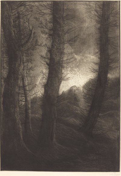 Grandes árboles vistos contra el sol Les grandes arbres: Effet du soir de Alphonse Legros