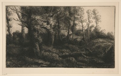 Lisiere de Foret (Al borde del bosque) de Alphonse Legros
