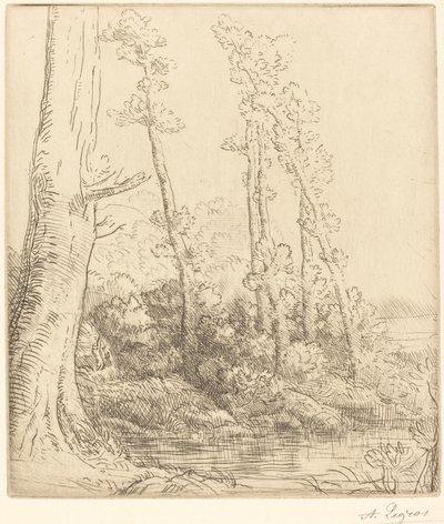 Pequeño estanque de Alphonse Legros
