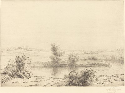Pantano de Alphonse Legros