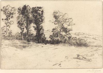 Pradera al sol (Le pré ensoleillé) de Alphonse Legros