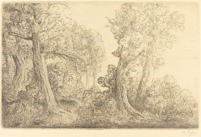 Cerca del bosque, Veronne Pres du bois, Veronne de Alphonse Legros