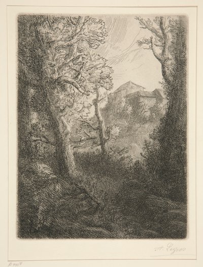 Campo de Alphonse Legros