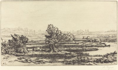 Turberas de Alphonse Legros