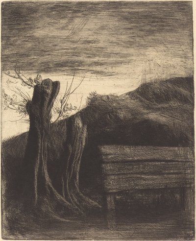 Sauces trasmochos de Alphonse Legros