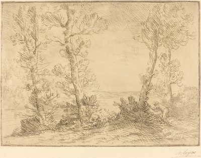 Pescador de salmón de Alphonse Legros