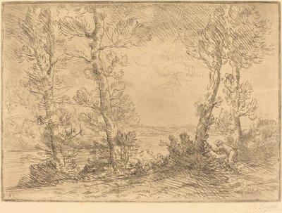 Pescador de salmón de Alphonse Legros