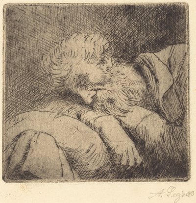 Mendigo durmiendo de Alphonse Legros