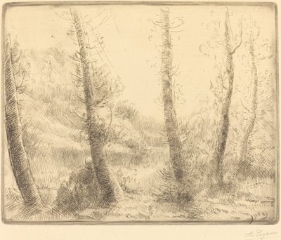 Lago pequeño de Alphonse Legros