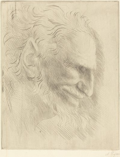 Estudio para la cabeza de un hombre de Alphonse Legros