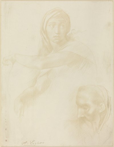 Estudio de la Sibila Délfica, Cabeza de un Hombre de Alphonse Legros