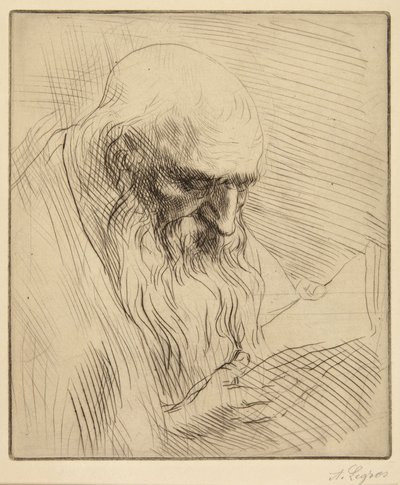  de Alphonse Legros