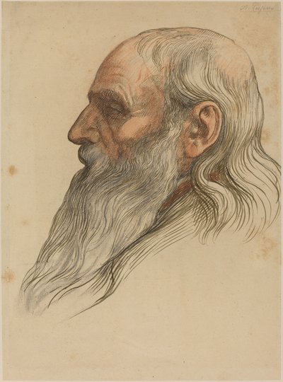Estudio de la cabeza de un hombre con barba completa de Alphonse Legros