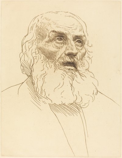 Estudio de un anciano de Alphonse Legros