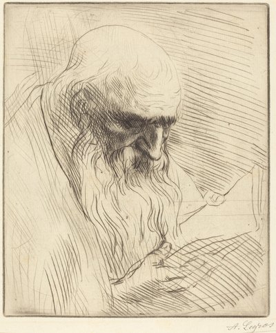 de Alphonse Legros