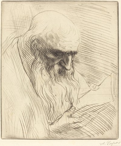 Estudio de la cabeza de un hombre leyendo de Alphonse Legros