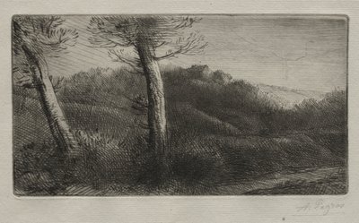 El Viajero Tumbado en la Hierba de Alphonse Legros