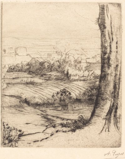 Vista de los juncos de Alphonse Legros
