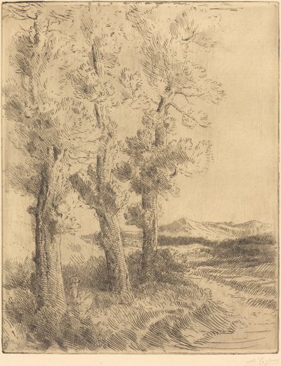 Mujer Leyendo: Lección bajo los Árboles de Alphonse Legros