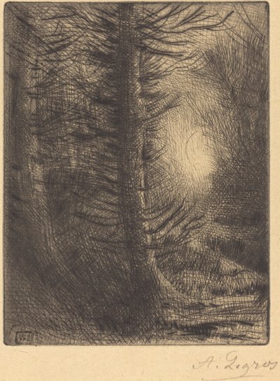 Bosques en sol de invierno, 1ª placa de Alphonse Legros