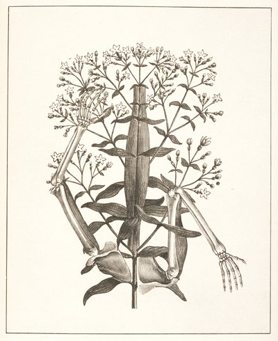Ilustración de 