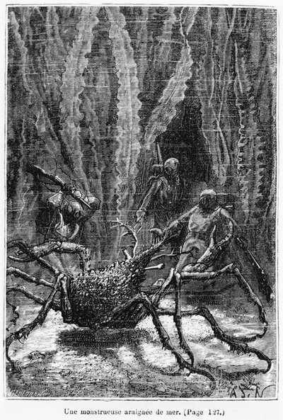 El cangrejo araña, ilustración de 